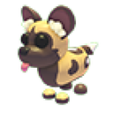 African Wild Dog — Adopt Me