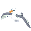 Albatross in Adopt Me
