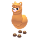 Alpaca — Adopt Me
