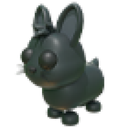 Amami Rabbit in Adopt Me