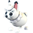 Arctic Hare in Adopt Me