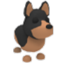 Australian Kelpie in Adopt Me