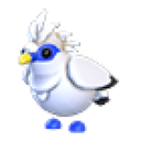 Bali Starling in Adopt Me