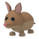 Bandicoot in Adopt Me
