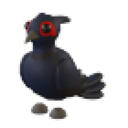 Black-Chested Pheasant in Adopt Me
