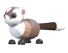Black-Footed Ferret in Adopt Me