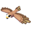 Black Kite in Adopt Me
