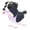 Border Collie in Adopt Me