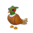 Brown-Chested Pheasant in Adopt Me
