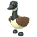Canadian Goose in Adopt Me