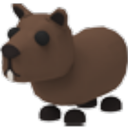 Capybara in Adopt Me