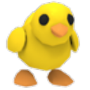 Chick in Adopt Me