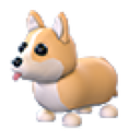 Corgi in Adopt Me