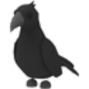 Crow — Adopt Me