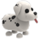 Dalmatian — Adopt Me
