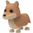 Dingo in Adopt Me