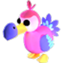Dodo in Adopt Me