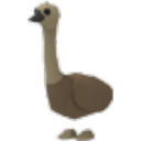Emu in Adopt Me