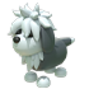 English Sheepdog in Adopt Me