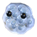 Frogspawn in Adopt Me