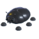 Giant Black Scarab in Adopt Me