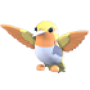 Golden Hummingbird in Adopt Me