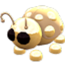 Golden Ladybug in Adopt Me