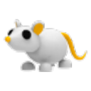 Golden Rat in Adopt Me