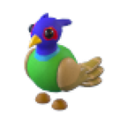 Green-Chested Pheasant in Adopt Me