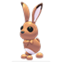 Hare in Adopt Me