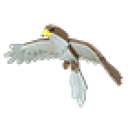 Hawk in Adopt Me