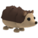 Hedgehog — Adopt Me