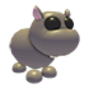 Hippo in Adopt Me