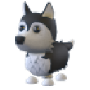 Husky in Adopt Me