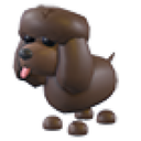 Irish Water Spaniel in Adopt Me