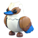 Kookaburra in Adopt Me