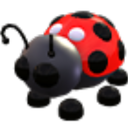 Ladybug in Adopt Me
