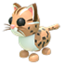 Leopard Cat in Adopt Me