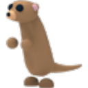 Meerkat in Adopt Me