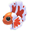 Orange Betta Fish in Adopt Me