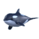 Orca in Adopt Me