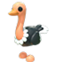 Ostrich in Adopt Me