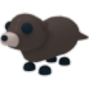 Otter in Adopt Me