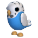 Parakeet in Adopt Me