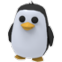 Penguin in Adopt Me