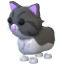 Persian Cat in Adopt Me