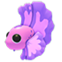 Pink Betta Fish in Adopt Me