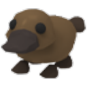 Platypus in Adopt Me