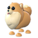Pomeranian in Adopt Me