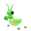 Praying Mantis in Adopt Me